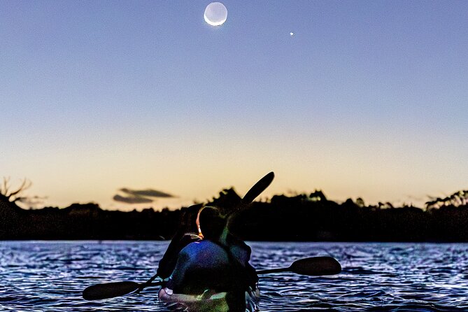 Auckland Bioluminescence Kayak Tour - The value of the $68.26 price