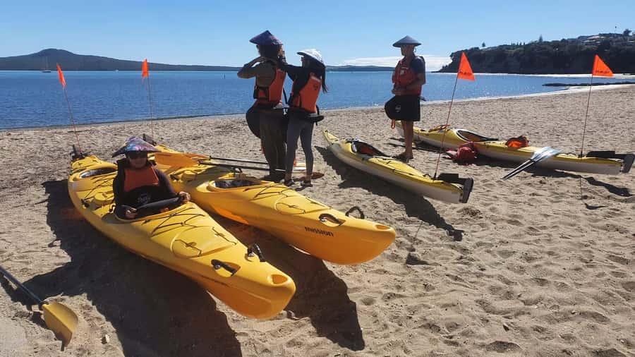 Auckland: Browns Island (Motukorea) Sea Kayak Tour - Should you book the Browns Island kayak tour?