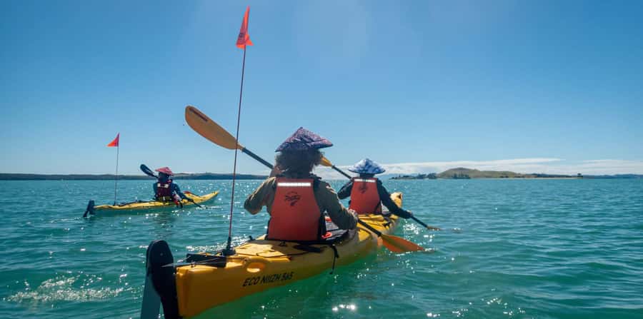 Auckland: Browns Island (Motukorea) Sea Kayak Tour - The paddle through Gentlemans and Ladies Bays