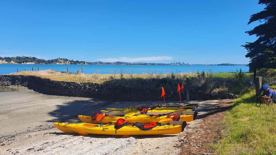 Auckland: Browns Island (Motukorea) Sea Kayak Tour - Returning across the Hauraki Gulf