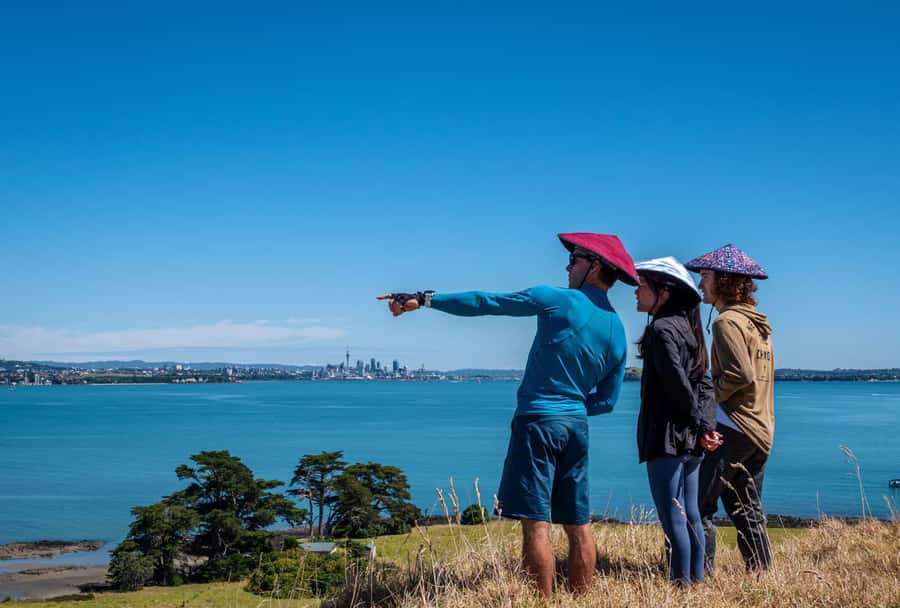 Auckland: Browns Island (Motukorea) Sea Kayak Tour - What the $89 price gets you