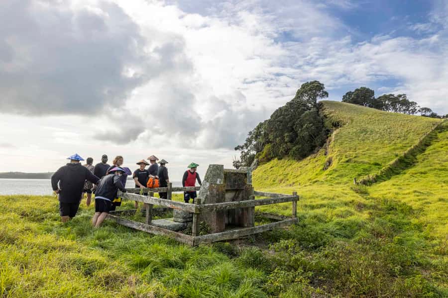 Auckland: Browns Island (Motukorea) Sea Kayak Tour - Who will enjoy this tour most