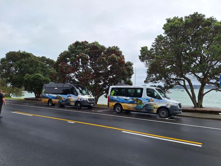Auckland: Cathedral Cove and Coromandel Small Group Tours - Why this Coromandel day trip works from Auckland