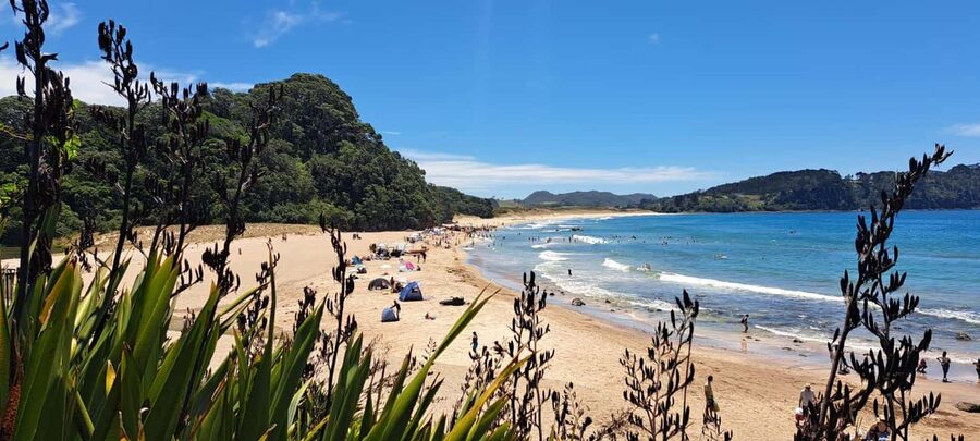 Auckland: Cathedral Cove and Coromandel Small Group Tours - Walking down to Mautohe Cathedral Cove