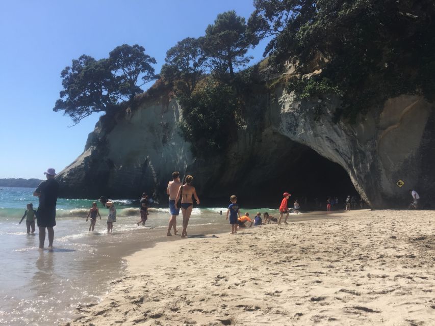 Auckland: Cathedral Cove and Coromandel Small Group Tours - Hot Water Beach and the art of digging a spa