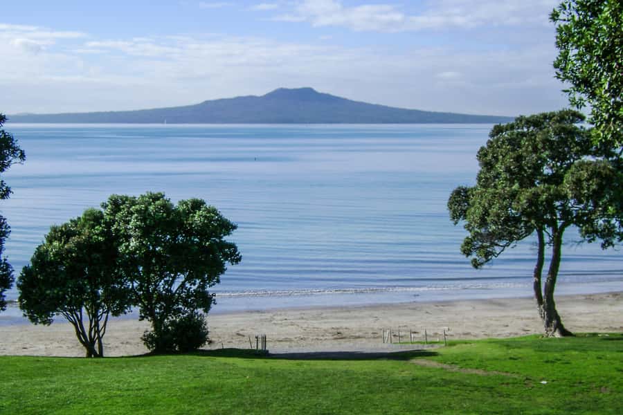 Auckland City, Beaches & Rainforest Premium Small Group Tour - Why this Auckland day works so well