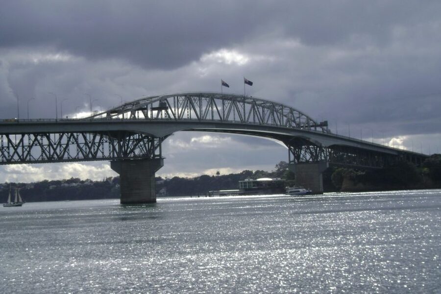 Auckland City, Beaches & Rainforest Premium Small Group Tour - Walking the Waitakere rainforest on easy bush tracks