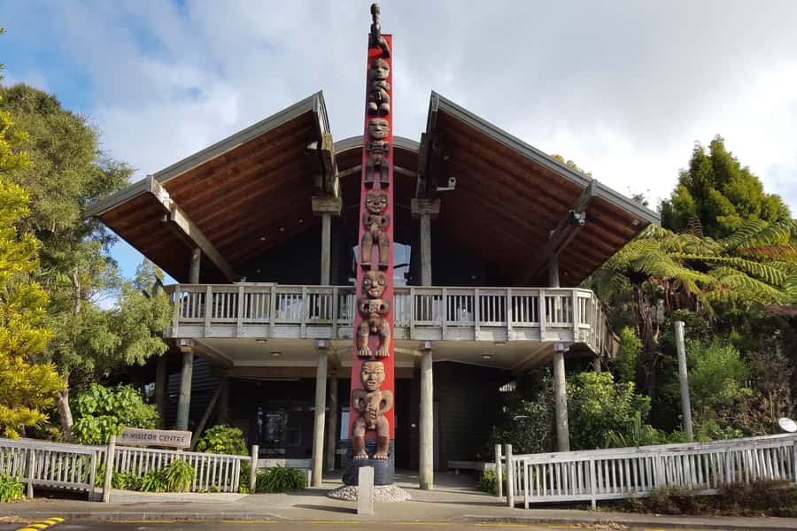 Auckland City, Beaches & Rainforest Premium Small Group Tour - Small group promise and guide changes
