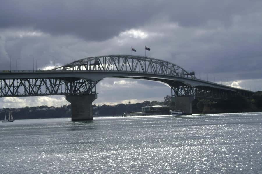 Auckland City, Beaches & Rainforest Premium Small Group Tour - Morning city sightseeing from the Domain to Mt Victoria