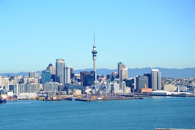 Auckland City Discovery Experience - Private Tour From Auckland - What the private minibus adds