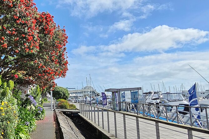Auckland City Halfday Guide Tour - A quick city sampler with real variety