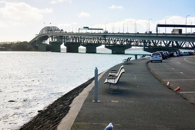 Auckland City Halfday Guide Tour - Mission Bay gives the tour its breathing room
