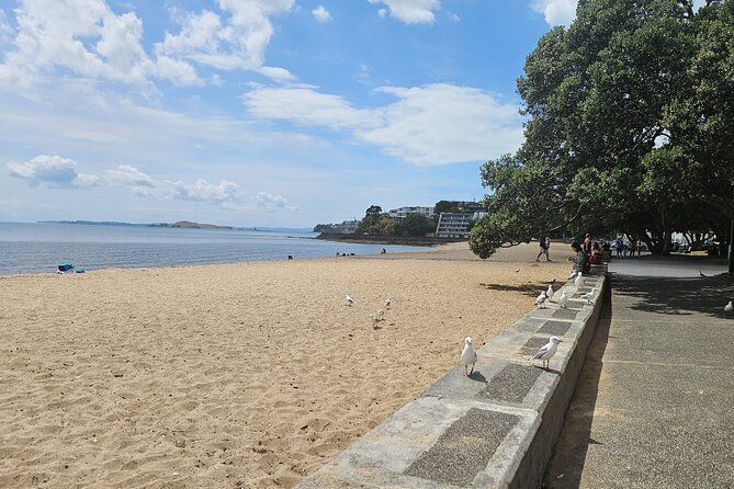 Auckland City Halfday Guide Tour - Bastion Point and the Michael Joseph Savage Memorial