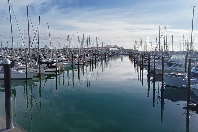 Auckland City Halfday Guide Tour - Westhaven Marina and the Auckland Harbour Bridge