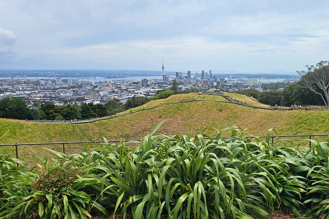 Auckland City Halfday Private Tour - Wide harbour views from Bastion Point