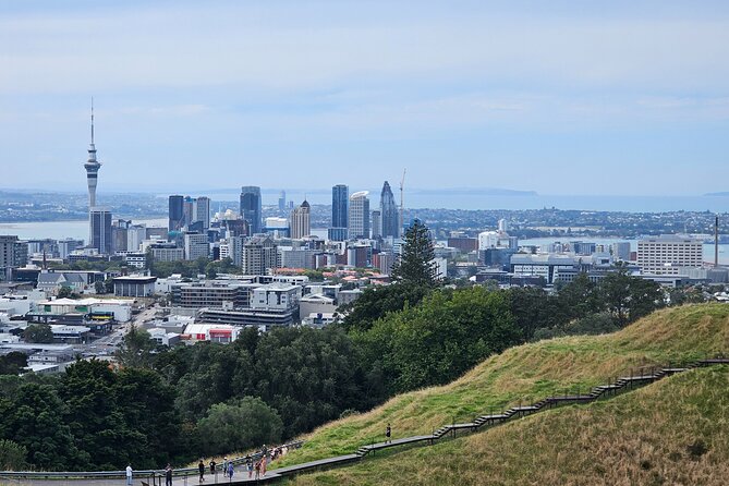 Auckland City Halfday Private Tour - What the private format changes