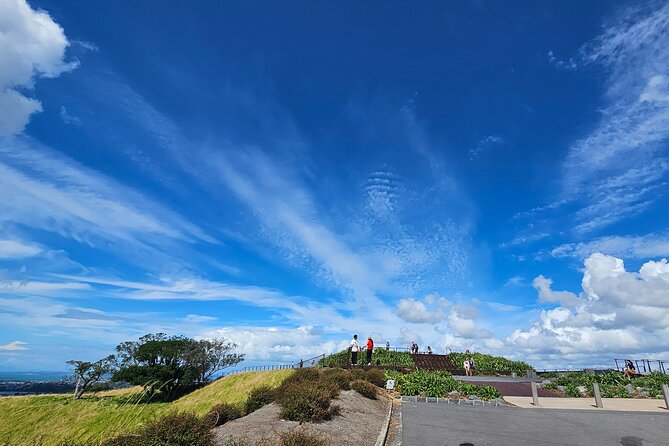 Auckland City Halfday Private Tour - Is $130.32 per person a fair price?