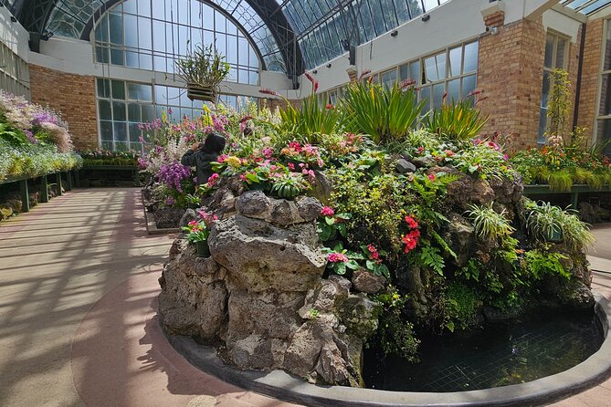 Auckland City Halfday Tour - Auckland Domain Wintergarden: historic glasshouses in a public park