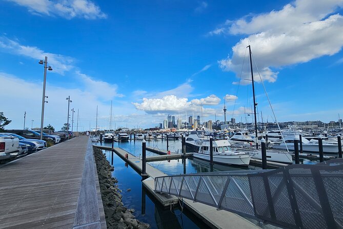 Auckland City Halfday Tour - Westhaven Marina: boats and harbor scale