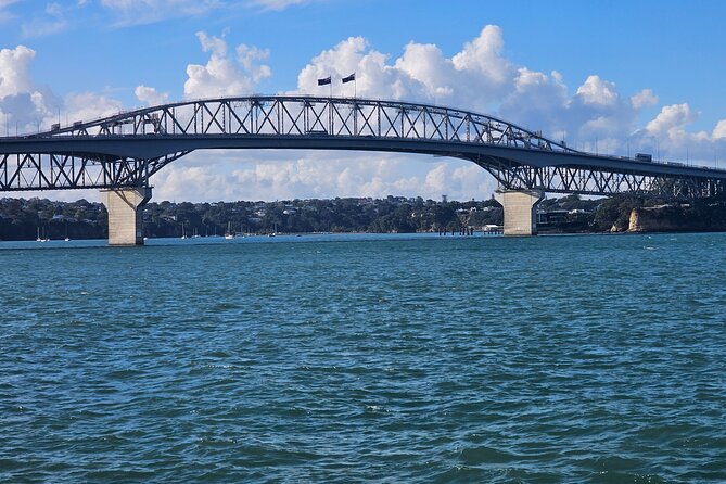 Auckland City Halfday Tour - The private vehicle changes the feel of the tour