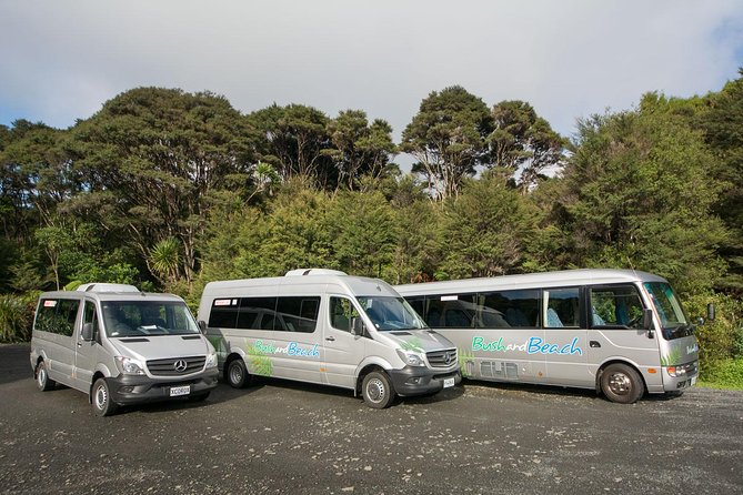 Auckland City Highlights, Afternoon Piha Beach & Rainforest Tour - Narrow Neck Beach and the color change at Piha