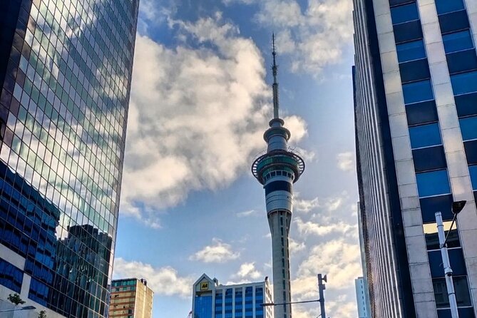 Auckland City Highlights Full Day Tour - Cornwall Park and One Tree Hill: green space inside the city