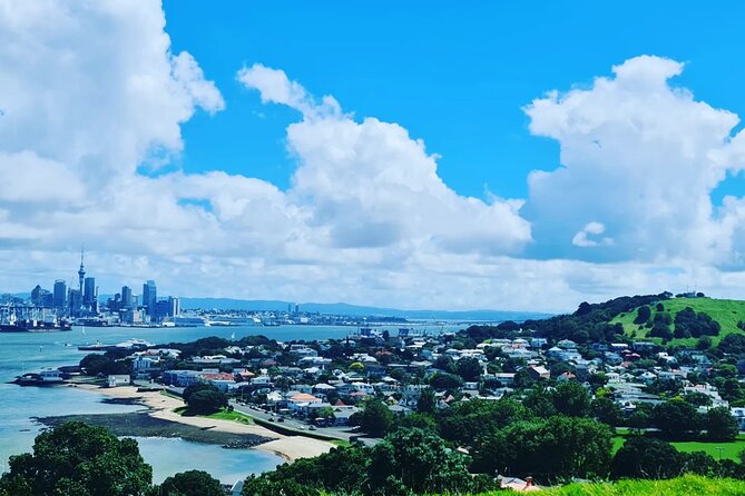 Auckland City Highlights Full Day Tour - What the $186.17 price gets you