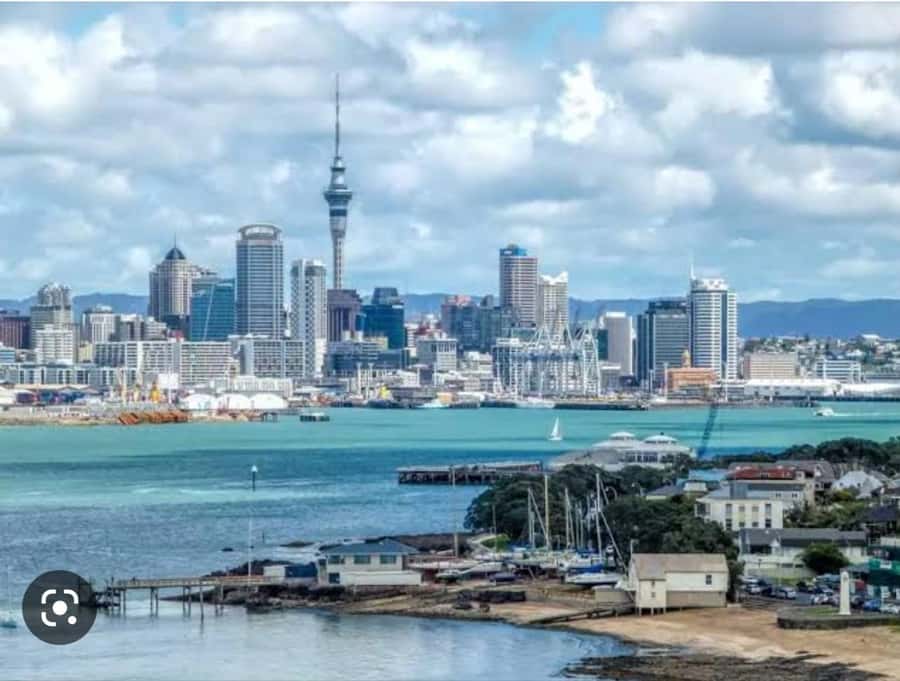 Auckland City Highlights Half Day Tour - Key points before you book