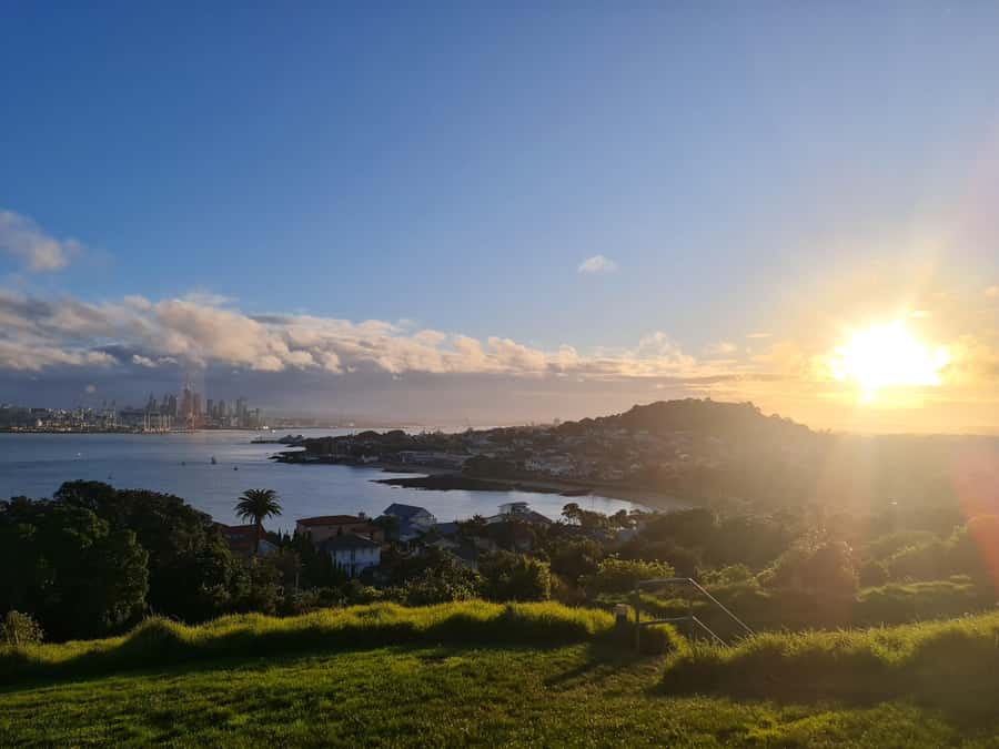 Auckland City Highlights Half Day Tour - A fast, personal introduction to Auckland