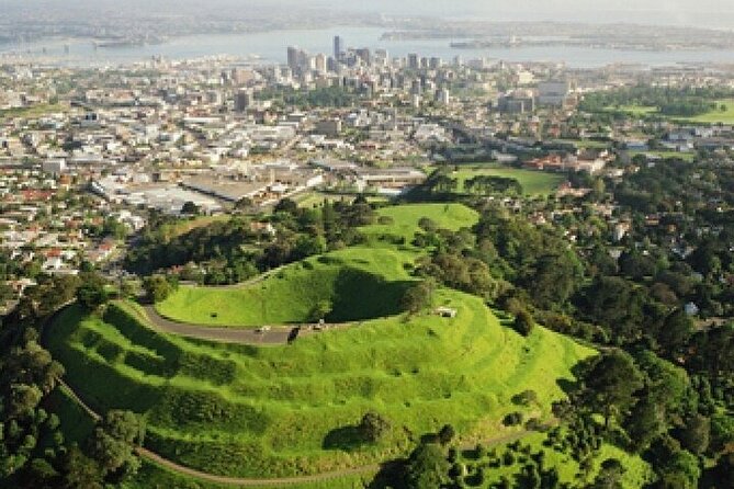 Auckland City Highlights Private Tour - Mission Bay and Auckland’s seaside character