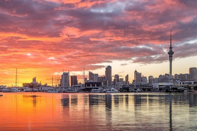 Auckland City Highlights Private Tour - Mount Victoria and the disappearing gun