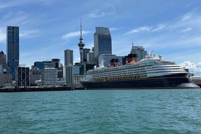Auckland City Highlights Tour by Car or Van - Auckland Domain and the Māori context