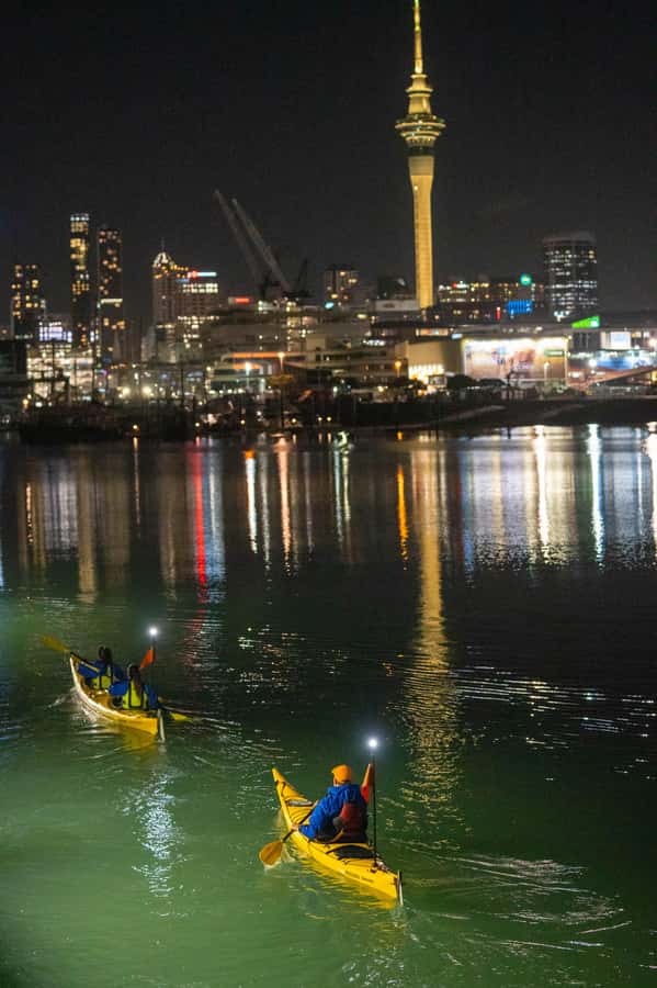 Auckland: City Lights Night Kayak Tour - Why Auckland’s skyline looks best from the harbour