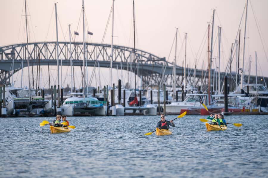 Auckland: City Lights Night Kayak Tour - Viaduct Harbour, Jellicoe Harbour, or North Wharf