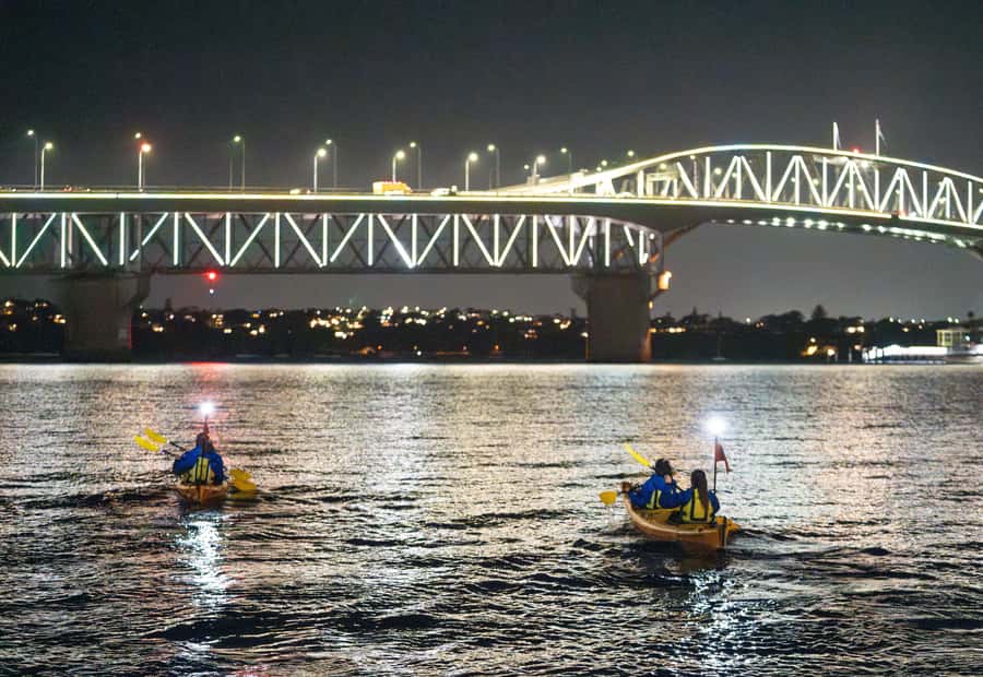 Auckland: City Lights Night Kayak Tour - From St Mary’s Bay to Westhaven Marina
