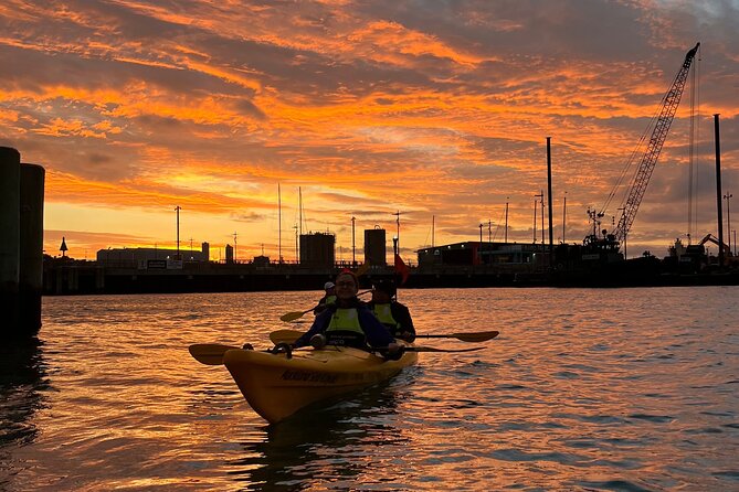Auckland City Lights Night Kayaking Tour - The Harbour Bridge from below and beside it