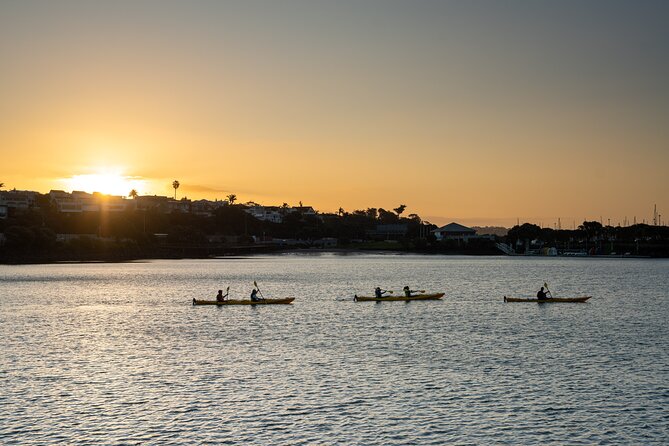 Auckland City Lights Night Kayaking Tour - Westhaven Marina and the first city views