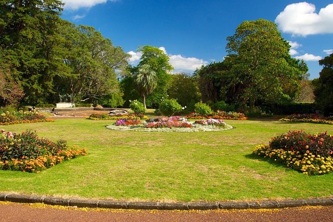 Auckland City & Native Forest Experience - Fully Guided Day Tour - What the small minibus adds
