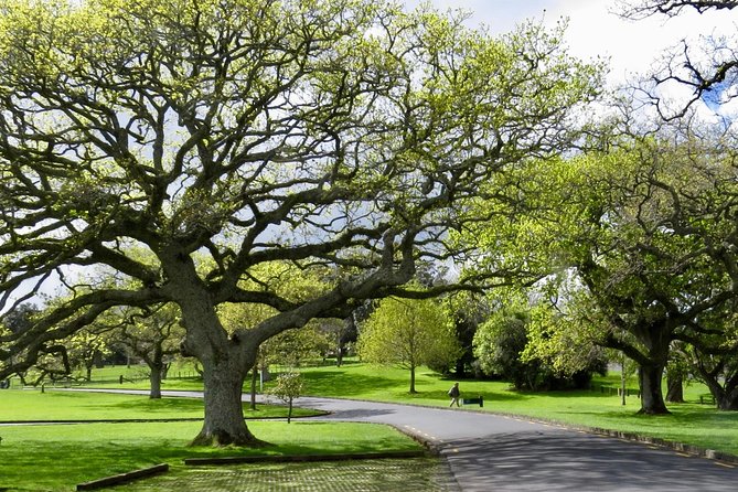 Auckland City Private Tour for Couples. Be chauffeur driven with added extras. - Little Shoal Bay Reserve and the North Shore view