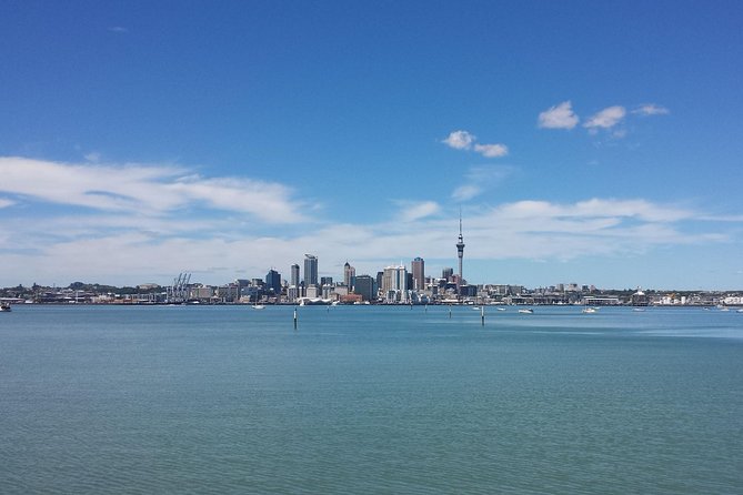 Auckland City Small-Group Morning Discovery Tour - What the guides add to the morning