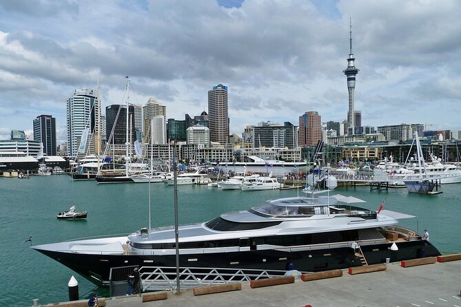 Auckland City Top Sights Half Day Tour - Small Group - Why the small group matters