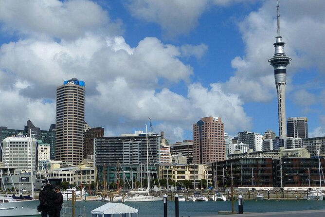 Auckland City Top Sights Half Day Tour - Small Group - Who will get the most from this tour