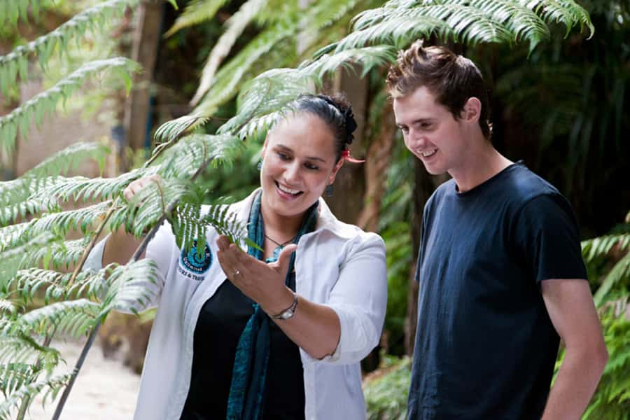 Auckland City & West Coast Luxury Tour - What $202 includes, and what it does not