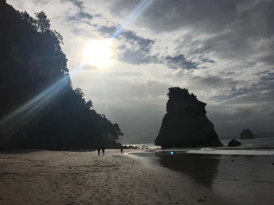 Auckland: Coromandel Day Tour including Hot Water Beach - Key points to know before you book
