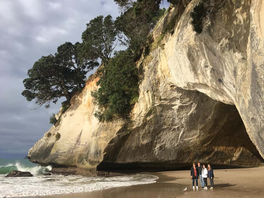 Auckland: Coromandel Day Tour including Hot Water Beach - The road from Auckland to the Coromandel Peninsula