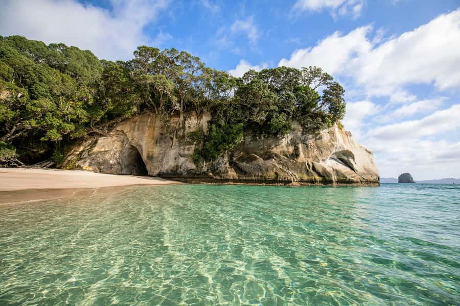 Auckland: Coromandel Driving Creek & Cathedral Cove Day Tour - Key points to know before booking