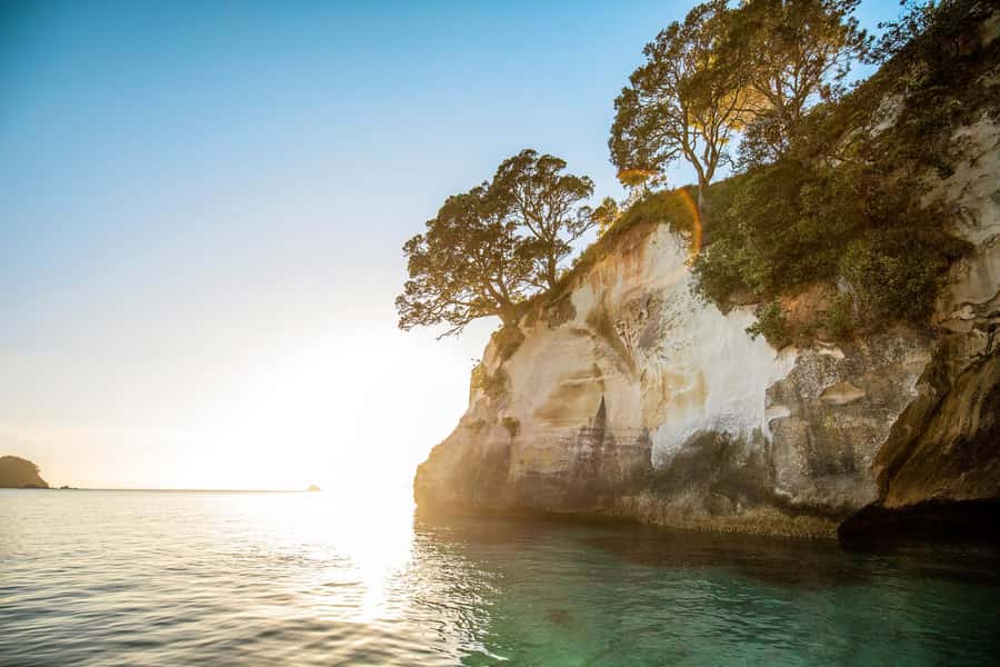 Auckland: Coromandel Driving Creek & Cathedral Cove Day Tour - Should you book it?