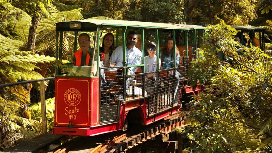 Auckland: Coromandel Driving Creek & Cathedral Cove Day Tour - Whitianga provides the main break