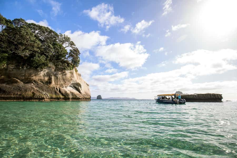 Auckland: Coromandel Driving Creek & Cathedral Cove Day Tour - A long day for a high price