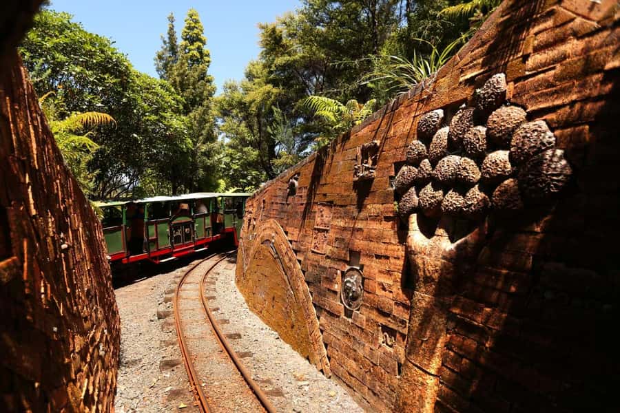 Auckland: Coromandel Driving Creek & Cathedral Cove Day Tour - Practical details that affect your comfort